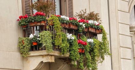 Częstochowa: Mieszkańcy miasta nagrodzeni za najpiękniejsze balkony i działki