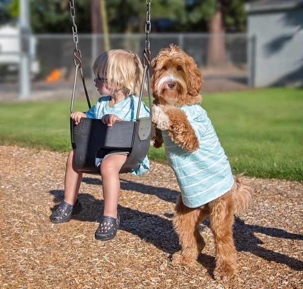 Buddy i Reagan są nierozłączni/Screen z Instagrama