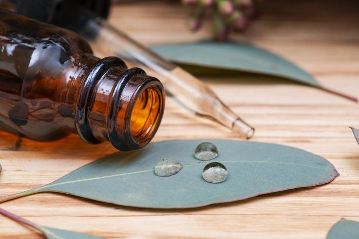 Olejek eukaliptusowy chętnie wykorzystuje medycyna naturalna i aromaterapia