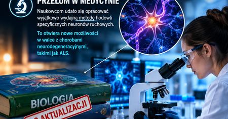 Jak naprawdę powstaje mózg? Niezwykłe odkrycie naukowców podważa dotychczasową wiedzę