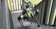 Elita bada koncepcję wojny przyszłości. Jej bazę stanowią uzbrojone robo-psy