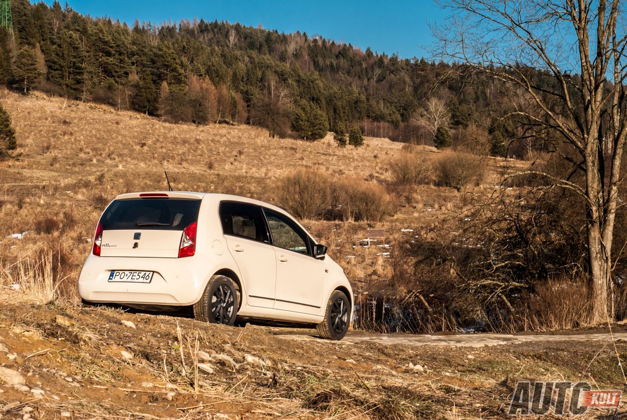 Seat Mii by Mango - galeria testowa