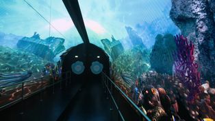 Szczecin: Woda bez tajemnic. Światowy Dzień Wody w Fabryce Wody