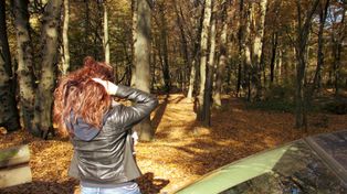 Głogów: Jak tak można? Grzybiarze parkują gdzie popadnie. Nadleśnictwo Głogów apeluje do kierowców