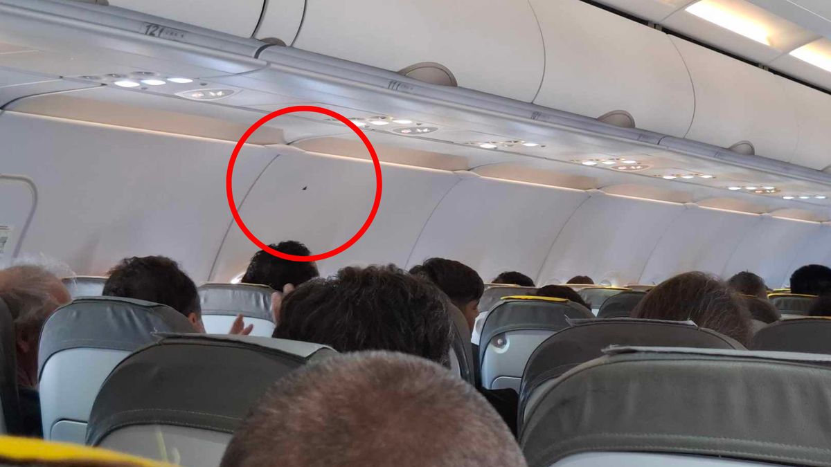 Co oznaczają małe trójkąty? 