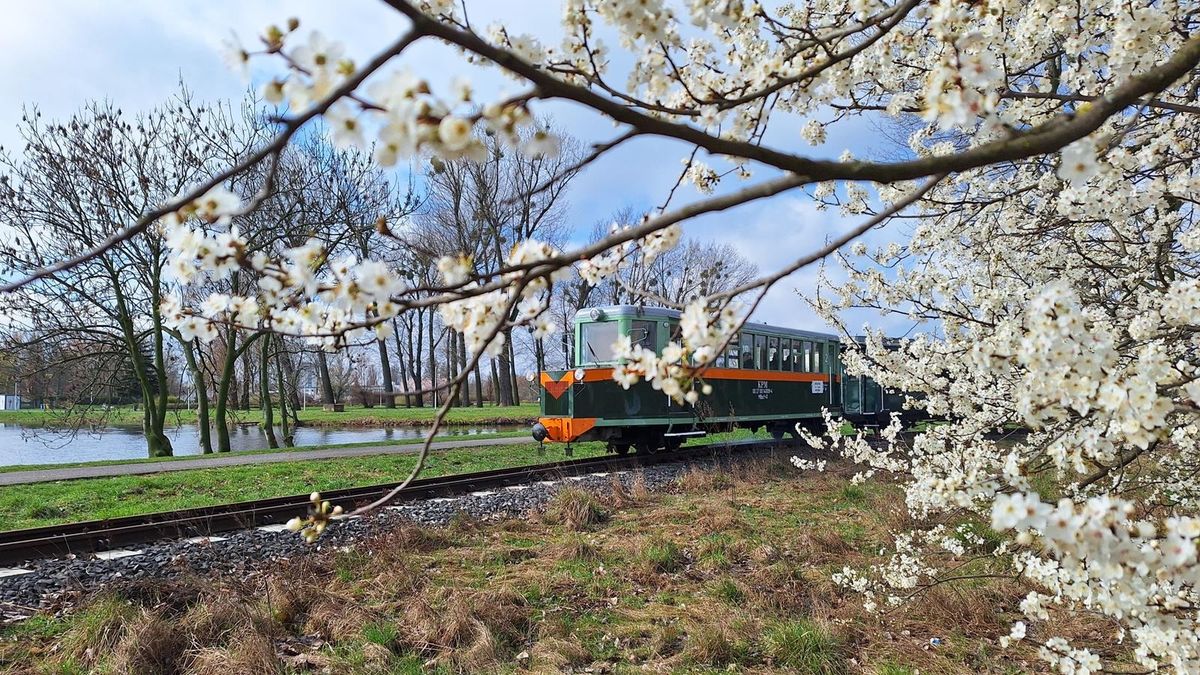 Maltanka w Poznaniu. fot UM Poznań