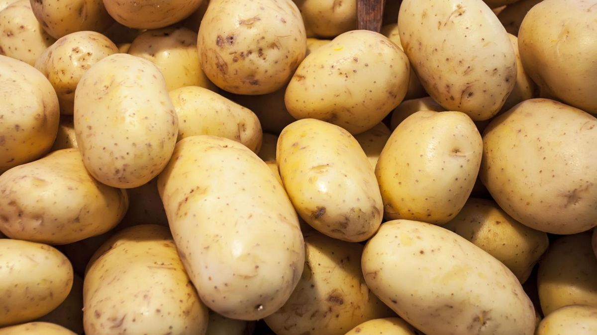 Ziemniaki nie powinny być przechowywane w lodówce