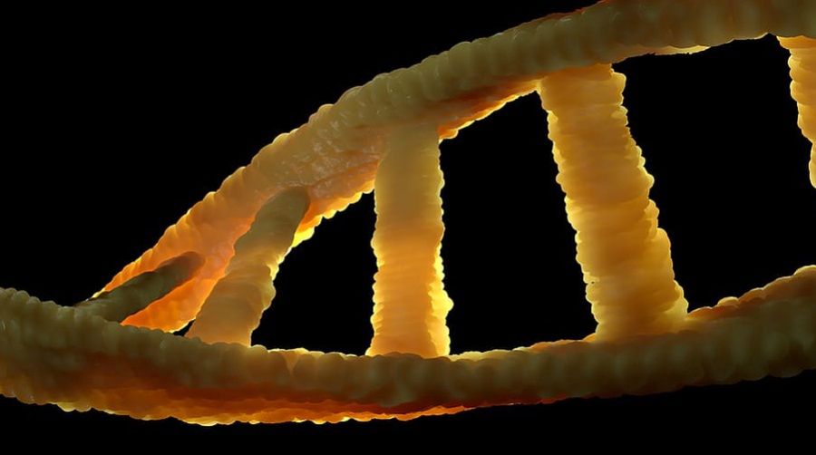 DNA jest wszędzie i działa jak odcisk palca. Rodzi to poważny problem