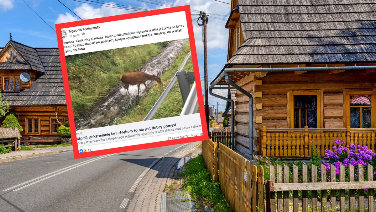 Górale oburzeni tym, co się dzieje w Zakopanem. "Ręce opadają"