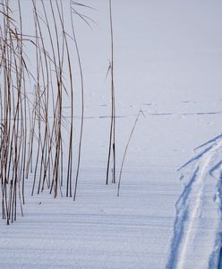 Mikołajki. Rano narty albo park wodny, wieczorem ognisko