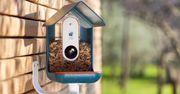 Bird Buddy - karmnik dla ptaków z kamerą, WiFi i sztuczną inteligencją