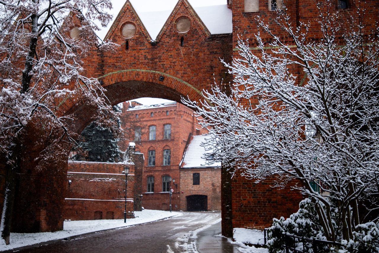 Tym żyła Metropolia Toruńska [30.12.2025]