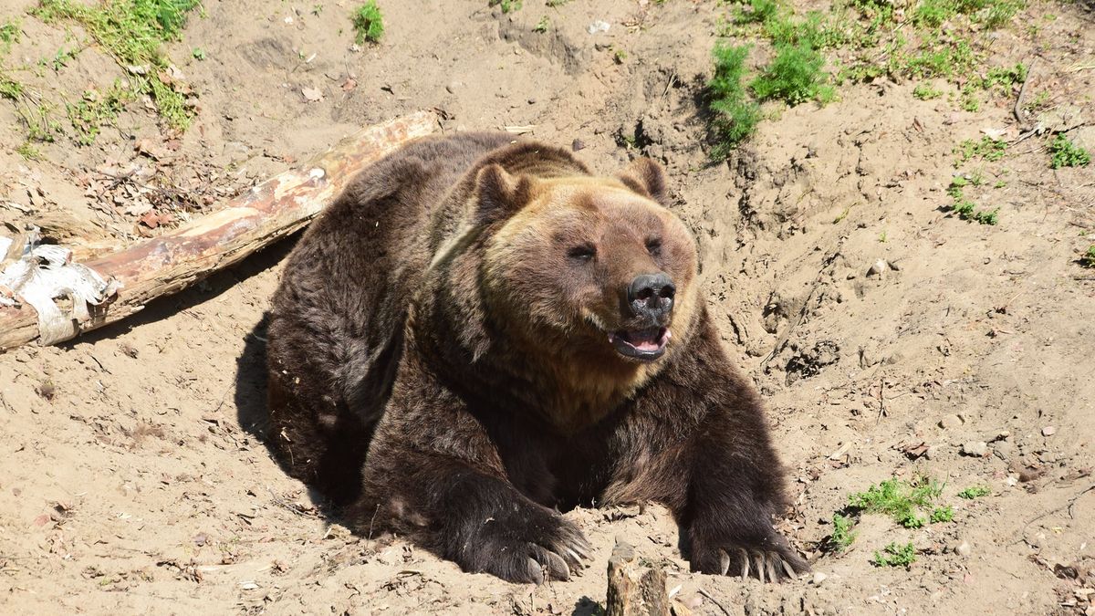 Zdjęcie ilustracyjne. 
