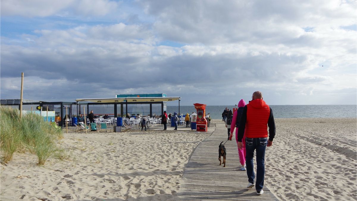 NIK wykryła szereg nieprawidłowości na Półwyspie Helskim