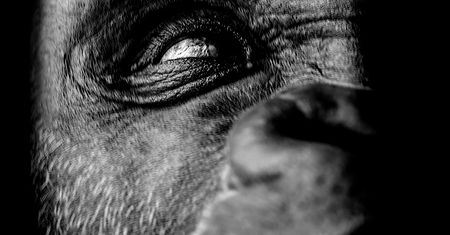Wystawa „inHUMAN” Pawła Bogumił zagości w Leica 6x7 Gallery