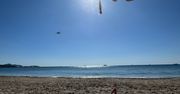 Nietypowa atrakcja na Ibizie. Dla jednych frajda, dla innych utrapienie