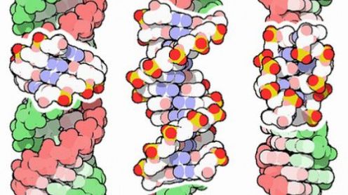 Komputery wstrzykiwane do krwioobiegu - s-f czy bliska przyszłość? 1