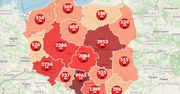 Koronawirus w Polsce. Mapa pokazuje duży wzrost zakażeń i kolejne ofiary śmiertelne