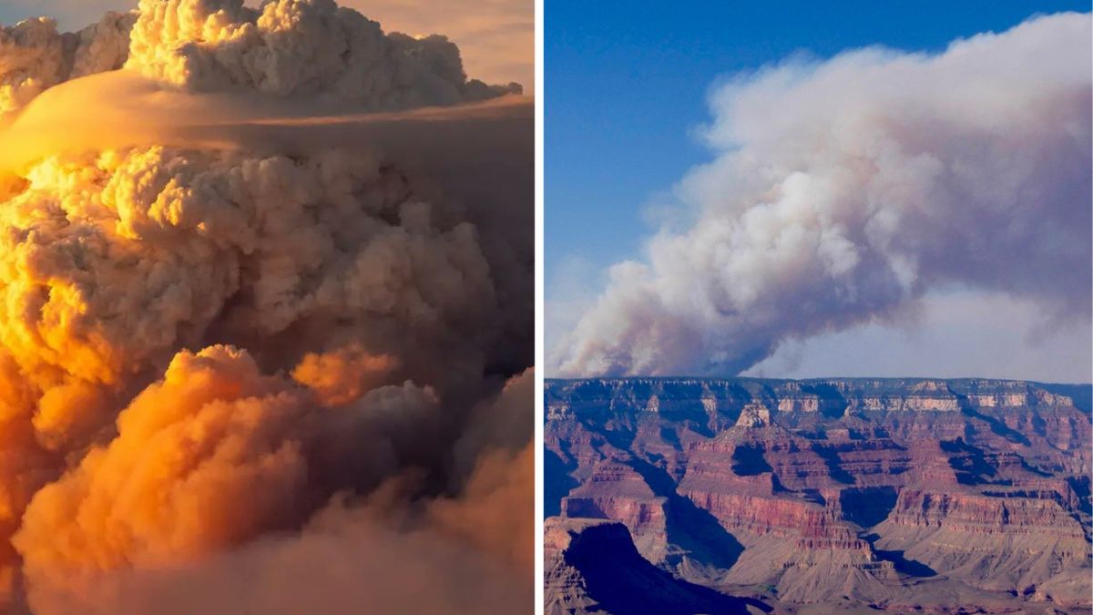 Pożar w Parku Narodowym Wielkiego Kanionu w Arizonie