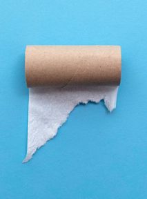 The end (of toilet paper) is near. The EU wants change