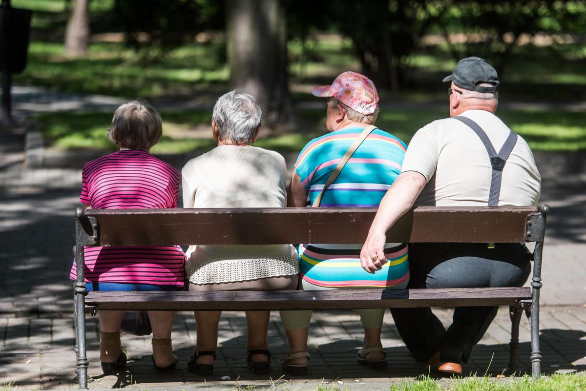 Park w Ciechocinku. Zdjęcie ilustracyjne