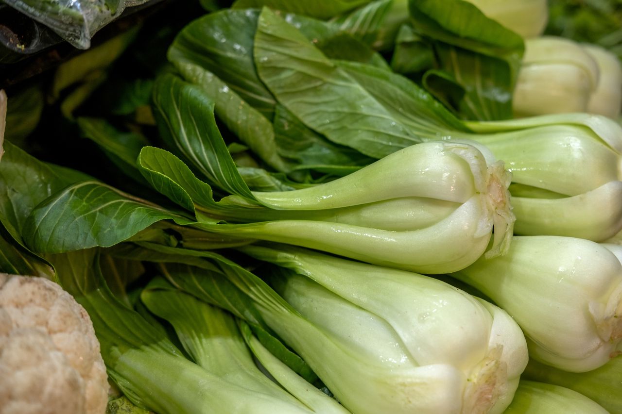 Pak choi