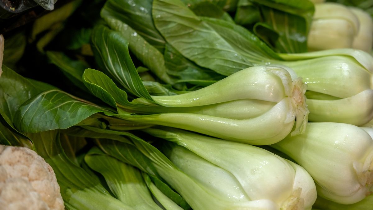 Pak choi