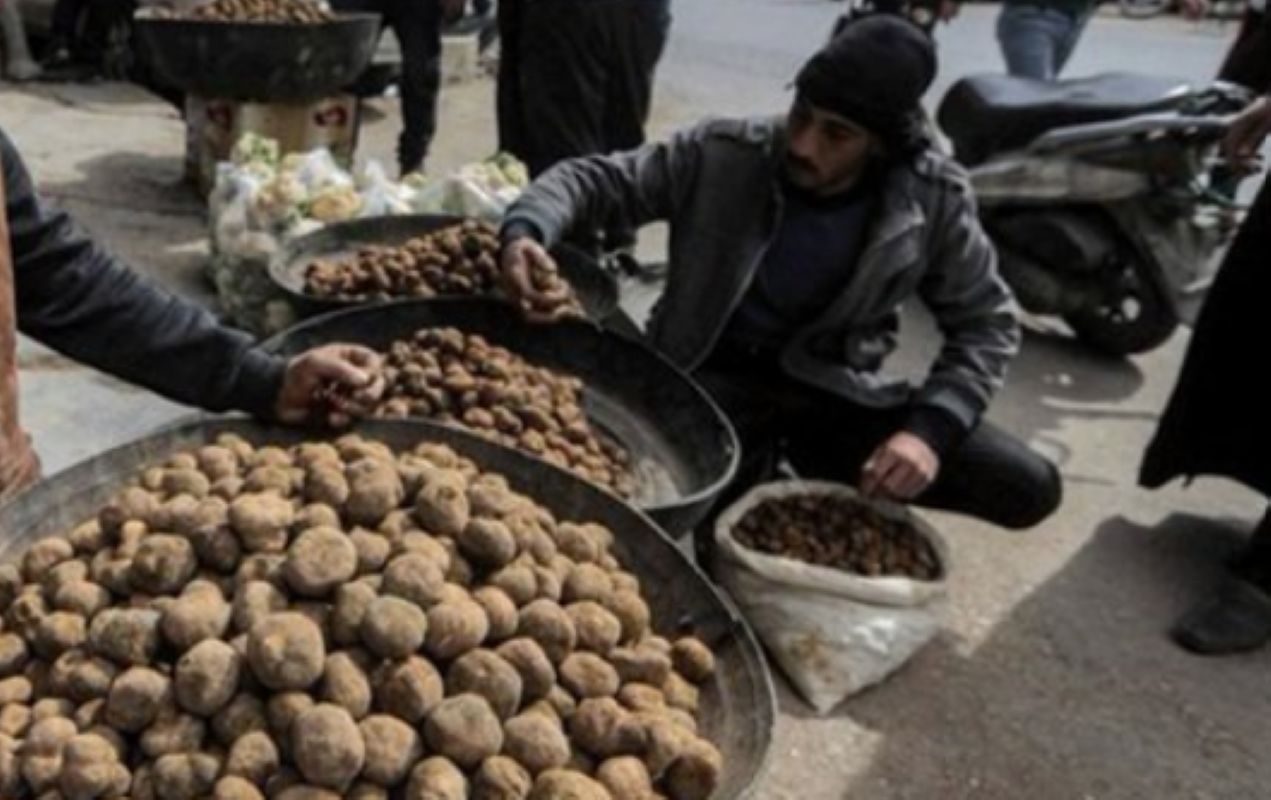 Szukają trufli i giną. Od początku roku życie straciło 77 osób