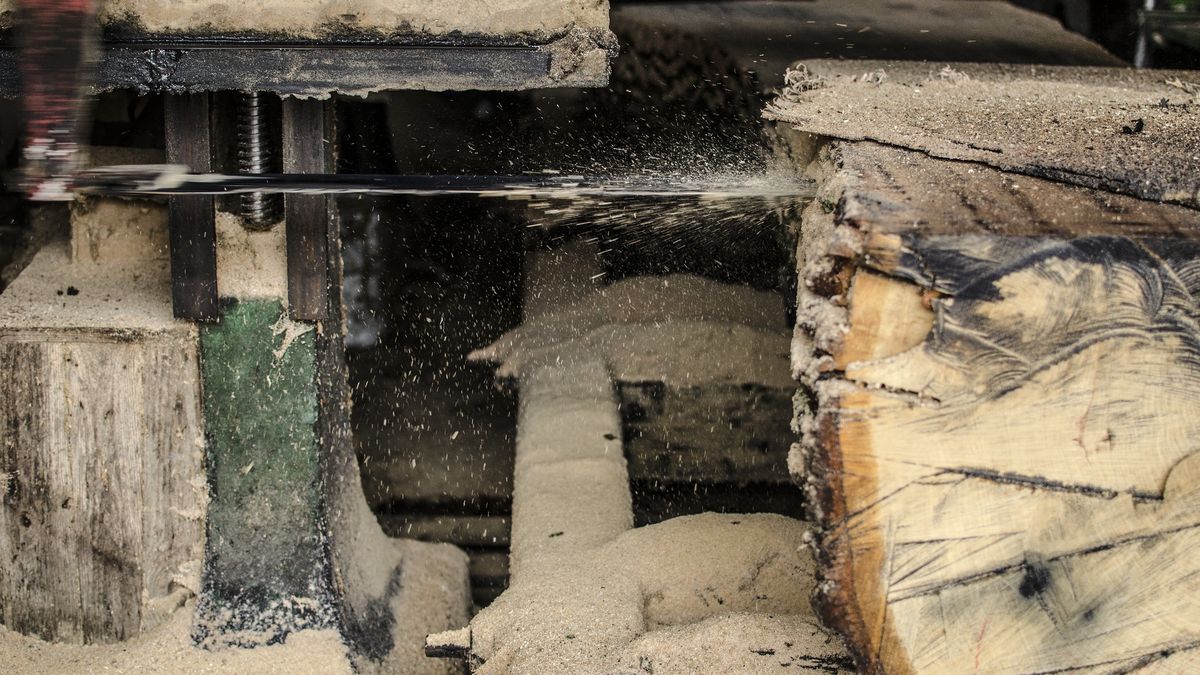 Drzewny interes Rosji podupadł przez sankcje