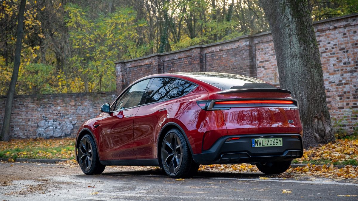 Tesla Model Y Performance (2025)