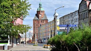 Gorzów posadzi kolejnych 326 drzew. Lipy i klony zazielenią miasto