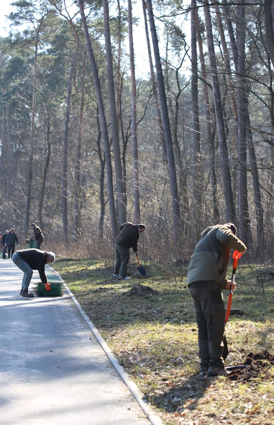 Zakładanie siatek