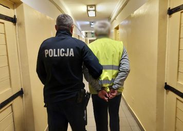 Jechał tirem w stronę granicy. Kontrola drogowa zakończyła się wydaleniem 50-latka z Polski