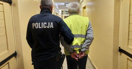 Jechał tirem w stronę granicy. Kontrola drogowa zakończyła się wydaleniem 50-latka z Polski