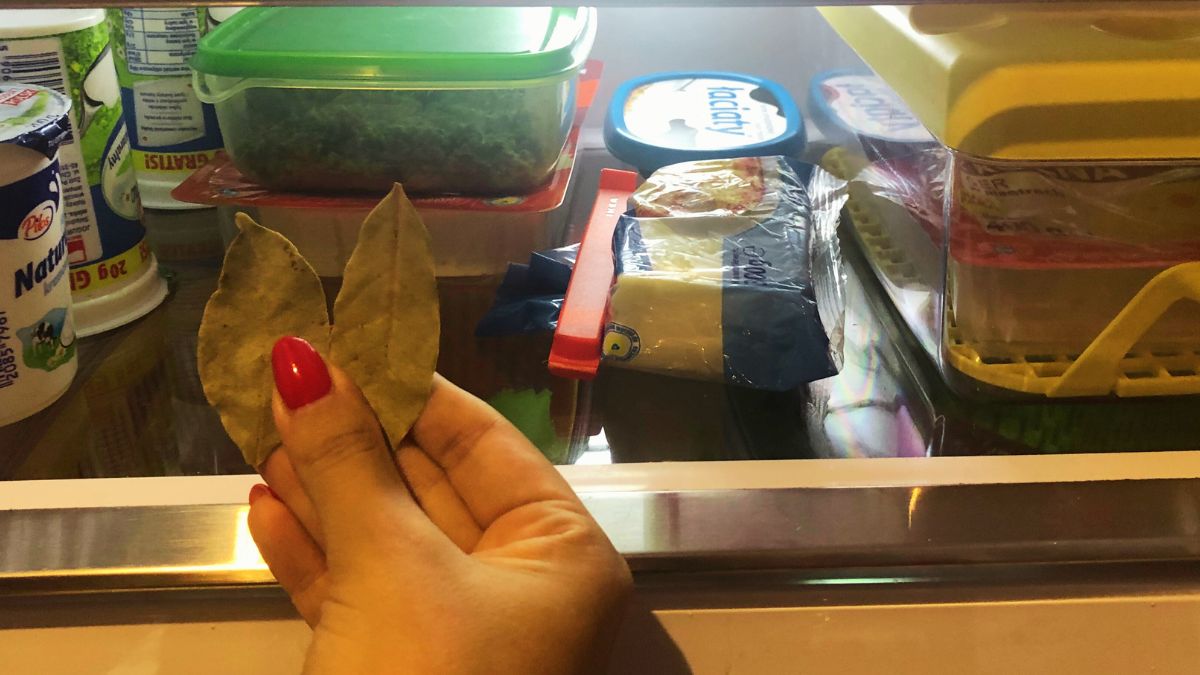 Liść laurowy pomoże uporać się z silnymi zapachami w lodówce