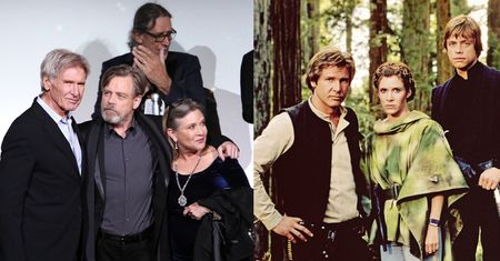 Han Solo, Leia i Luke na światowej premierze "Gwiezdnych Wojen"! (ZDJĘCIA)