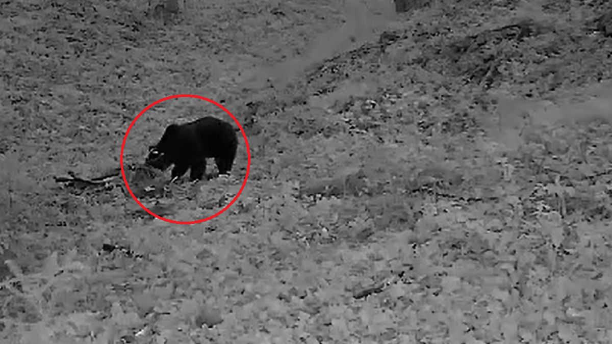 Zdjęcie ilustracyjne