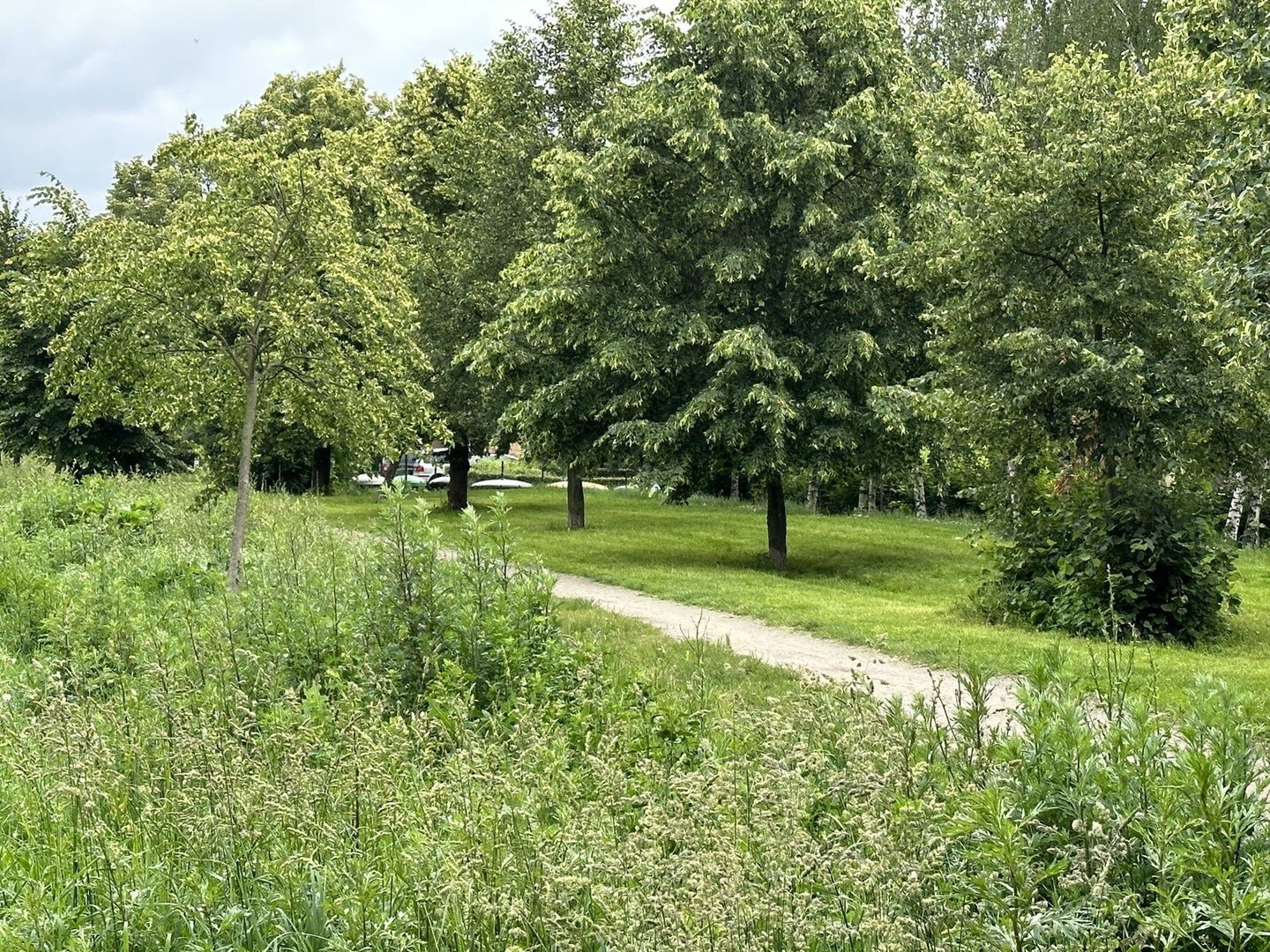 Nowe ścieżki dla pieszych i rowerzystów w Lesznie