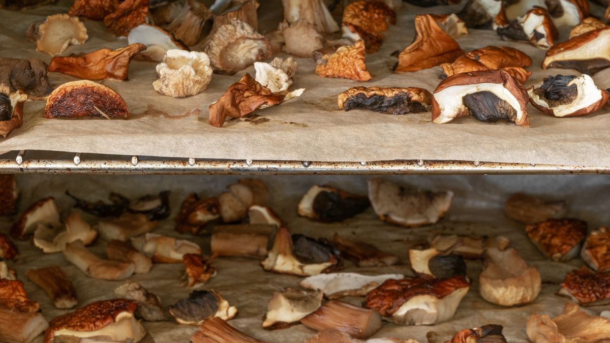 Grzyby suszone w piekarniku