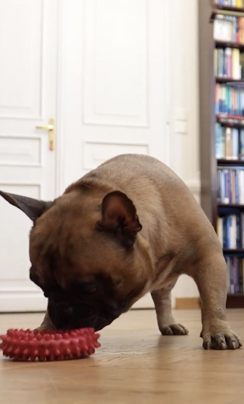 Tak mieszkają Rafał i Małgorzata Trzaskowscy