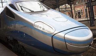 Wyprawa nad morze z Kartą Dużej Rodziny. Oto, dlaczego się nie udała