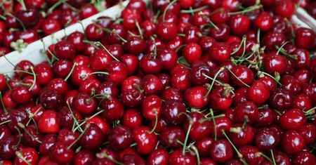 Polskie czereśnie coraz bliżej. Wiemy, ile mogą kosztować