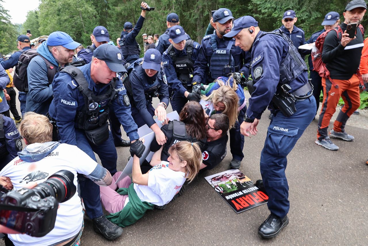 Spór o konie na trasie do Morskiego Oka. Policja prowadzi 71 spraw