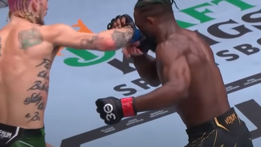 Sean O'Malley znokautował Aljamaina Sterlinga na UFC 292