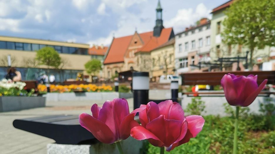 Rynek w Chrzanowie