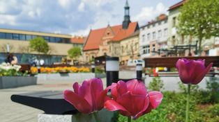 Chrzanów: Trwa głosowanie na Chrzanowski Budżet Obywatelski 2026. Jakie zadania zgłosili mieszkańcy?
