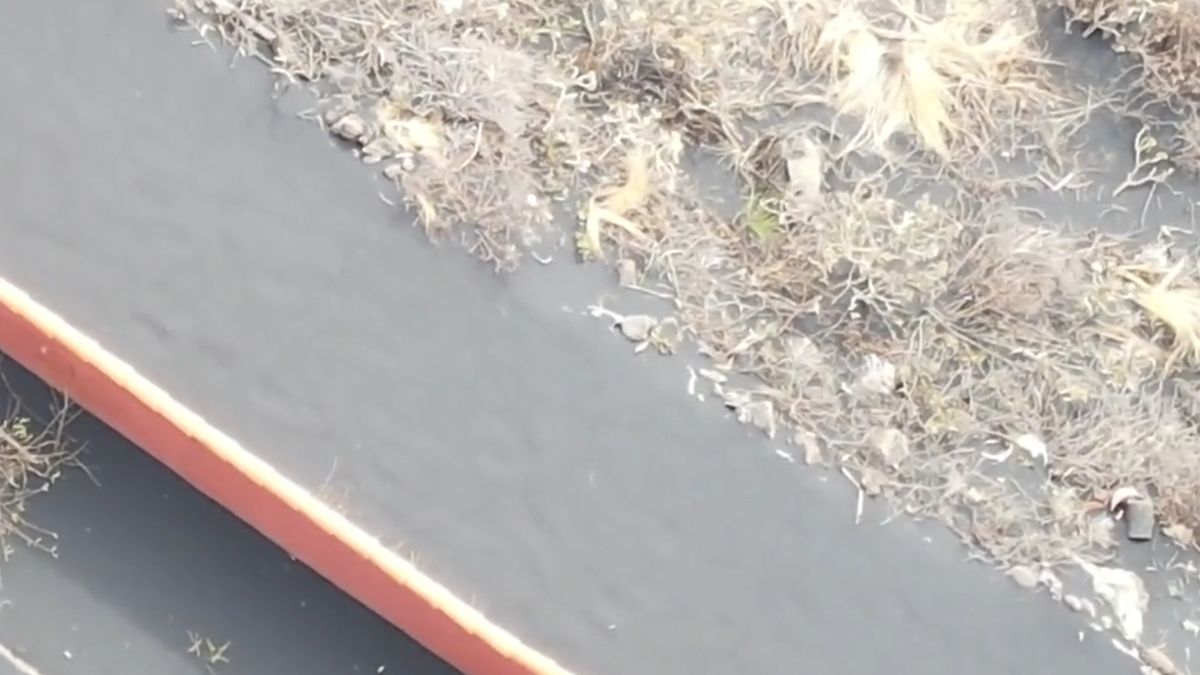 W rejonie wulkanu Cumbre Vieja znaleziono ludzkie kości 