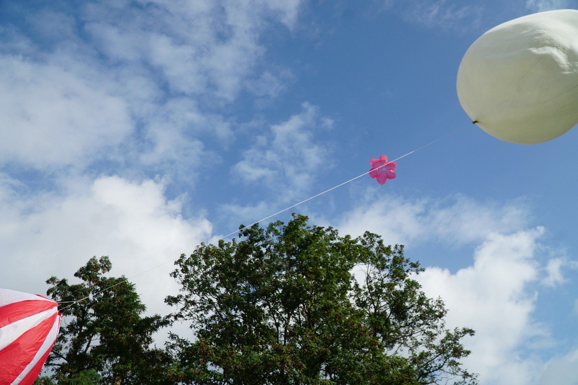 Poznańscy uczniowie wysłali w kosmos balon startosferyczny