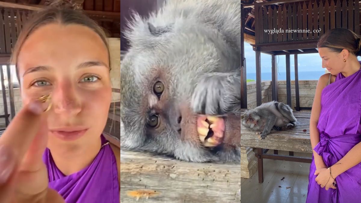 Dramat Julii Wieniawy. Małpa ukradła jej kolczyk 