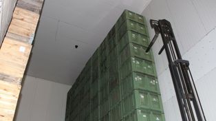 Jabłko przemysłowe stanęło. Sadownicy mogą się rozczarować